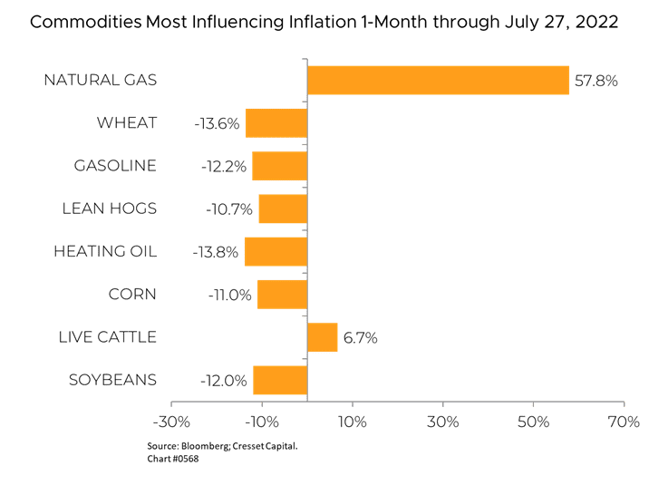 Commodities most influencing inflation Graph
