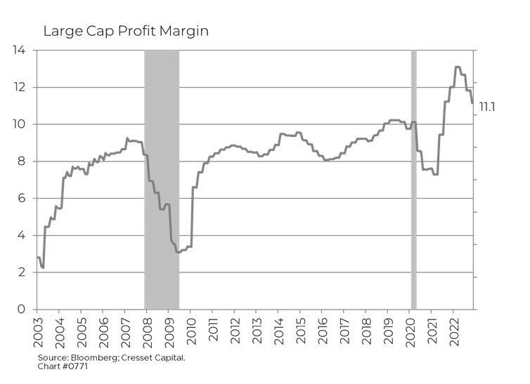 Large Cap Profit Margin Graph