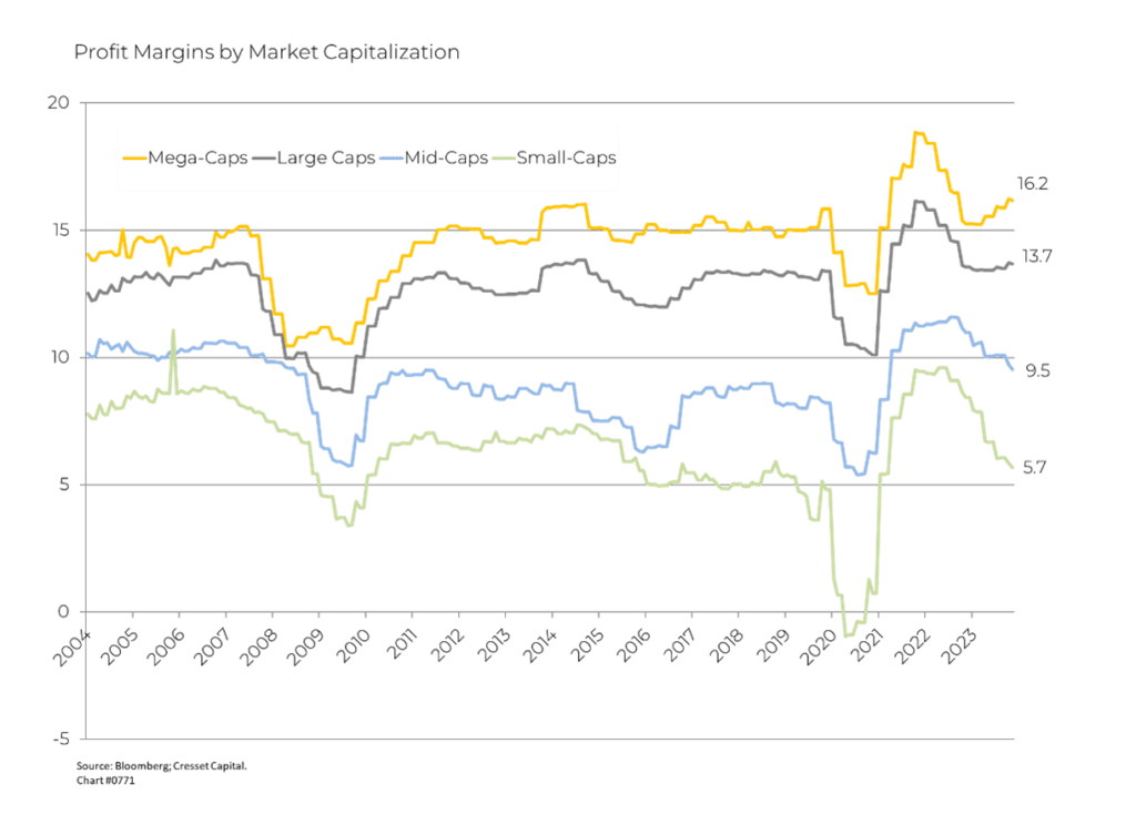 Profit Margins by Market Capitalization