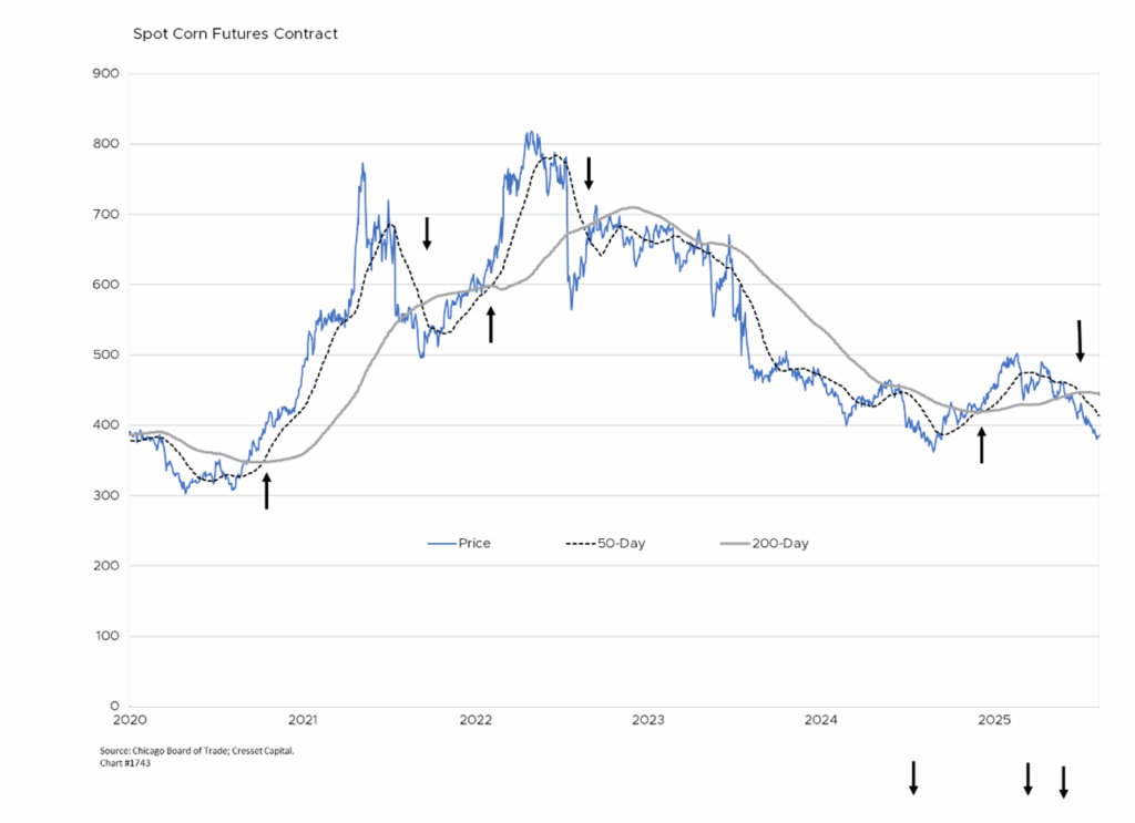 Spot Corn Futures Contract