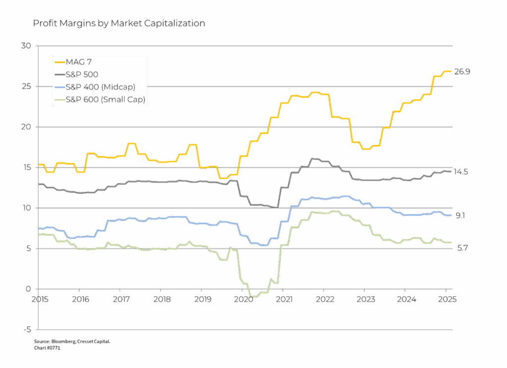 Profit Margins by Market Capitalization