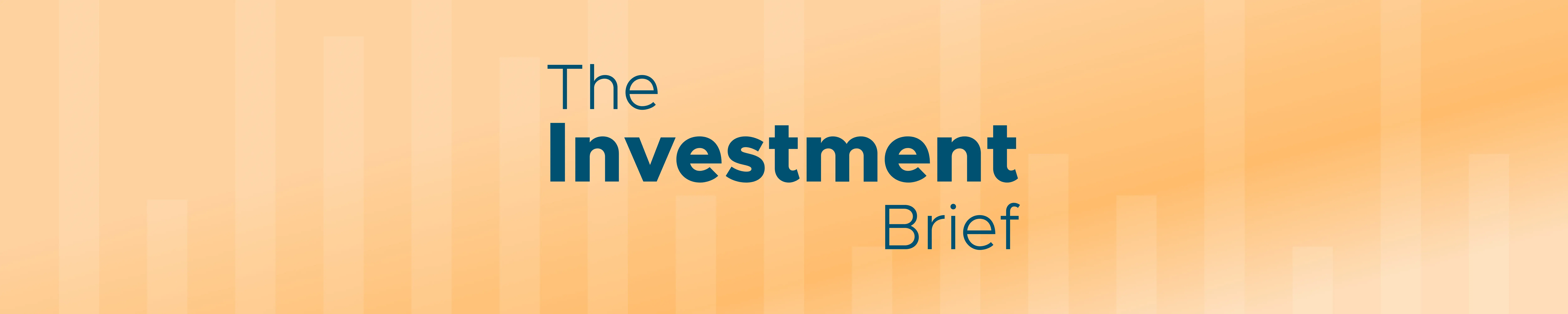 The Investment Brief