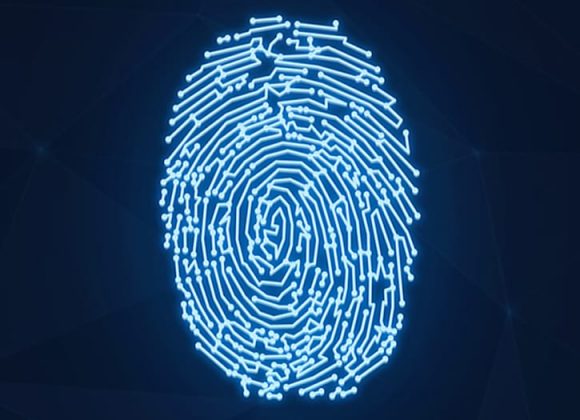 Digital Fingerprint